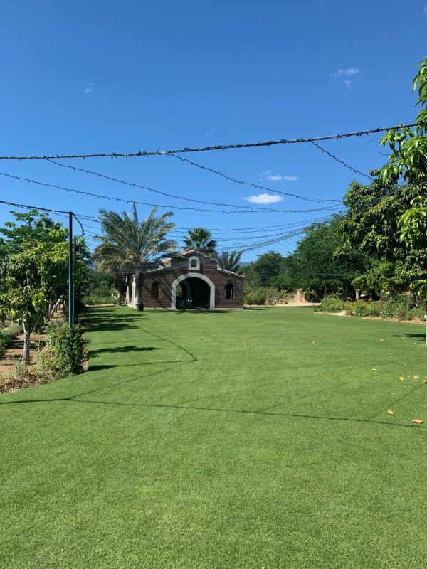 Flora Farms Cabo Wedding 