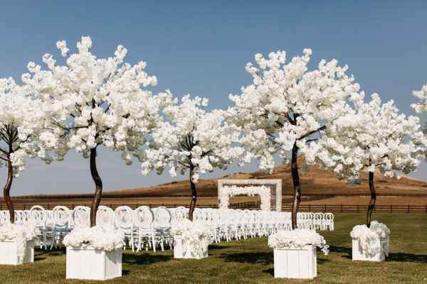 Colorado Wedding Planner Table 6 Productions